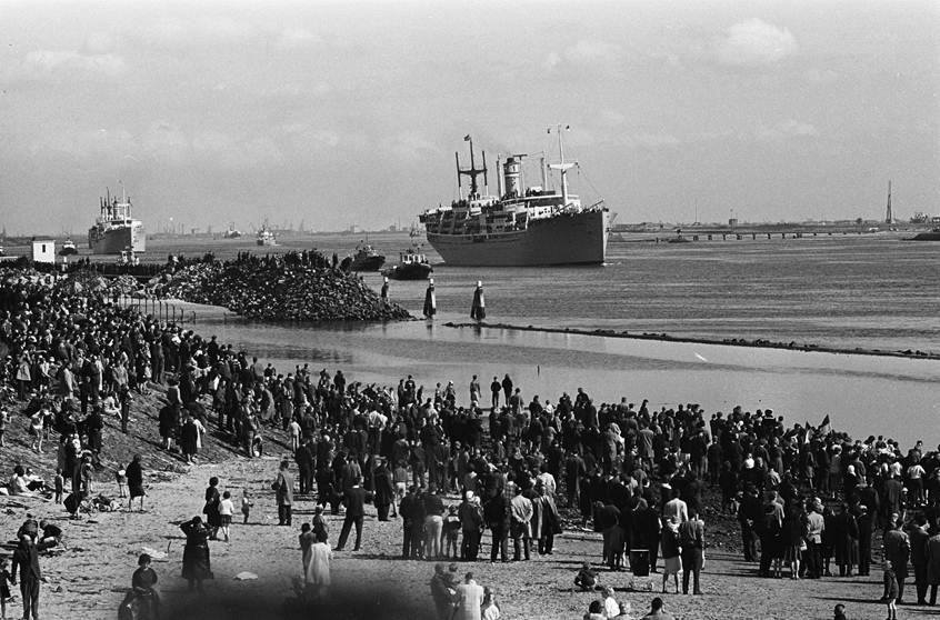 13233388_618353541649081_636052680_n